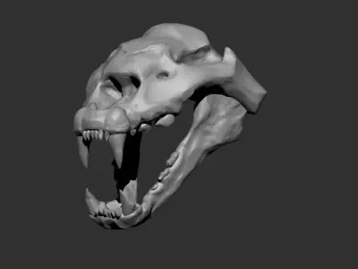 cheetah skull 3D model