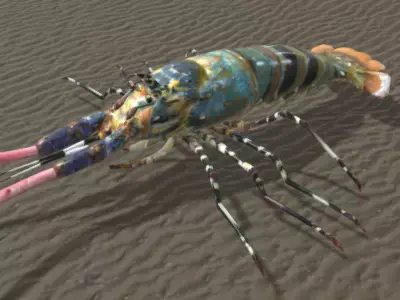 Lobster aragosta arcobaleno 3D model