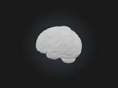 brain Low-poly 3D model