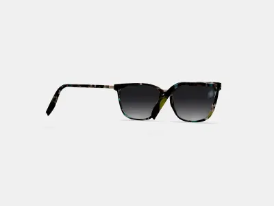 Esme Sunglasses in Aventurine Tortoise with Polished Gold 3D model purchase
