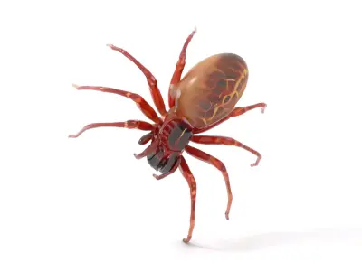 Detailed Spider Creature model pack Low-poly 3D model