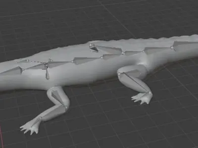 crocodile 3D model order