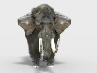 pygmy mammoth Low-poly 3D model