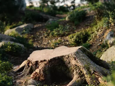  Short Cut Mossy Forest Roots Stump Model 