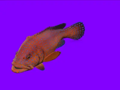 Fish Animation 3d model Low-poly 3D model