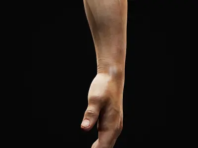 Human Hand with Beret collection  Low-poly 3D model