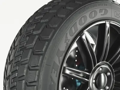 Tire  Rim and Brake  Plates 3D model