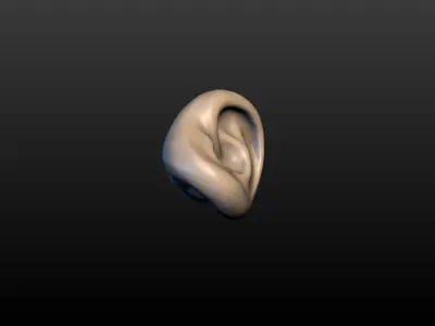 Round Ear 3D print model