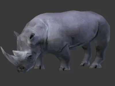 African Rhino Low-poly 3D model