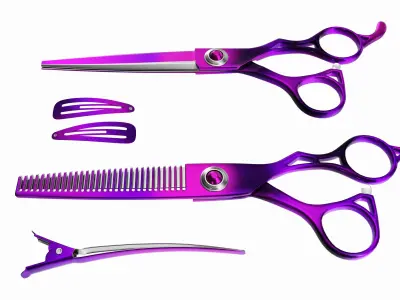 Hair Cutting Thinning Scissors Set Colorful 3D model