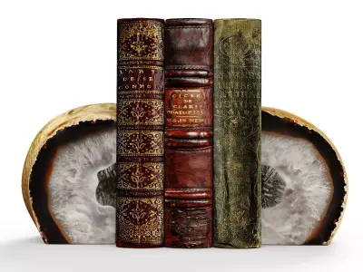 Agate book holder 3D model