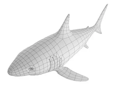 Shark Base Mesh Low-poly 3D model