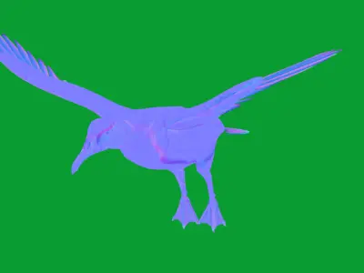 Albatross Bird Low-poly 3D model