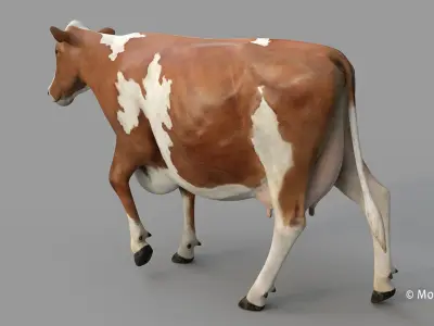 Cow PRO Ayrshire 3D model