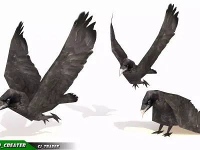 Low-poly Crow Rigged  Animated 3D model Low-poly 3D model