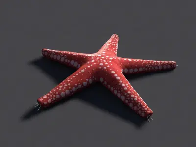 Red Star Fish Low-poly 3D model