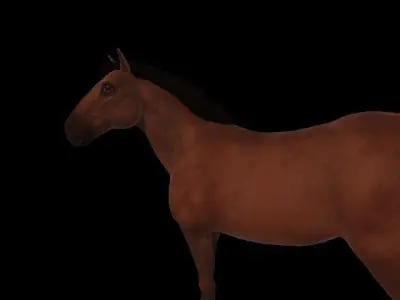 horse 3D model 3