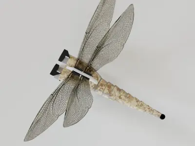 Dragonfly drone 3D model