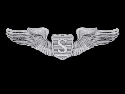 USAAF Service Pilot Wings Badge 3D model