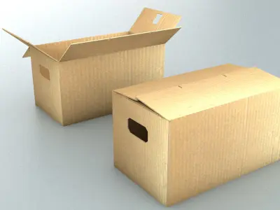 laos Cardboard Boxes 3D model