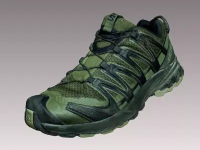 Salomon XA PRO 3D V8 shoe 3D model