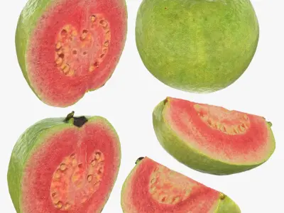 Pink Guava Collection 2 3D model