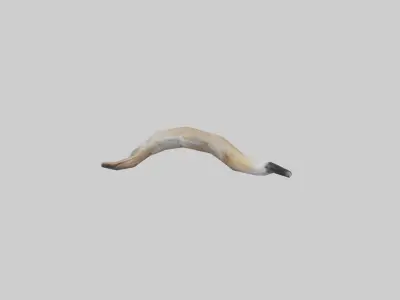 Coyote Tail Low-poly 3D model