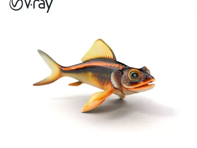 Dragonfish Stomias Boa Realistic 3D Model Pack Low-poly 3D model