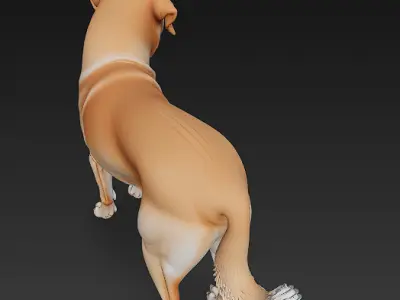 Dog Realistic 3D Model - Low Poly Realistic Low-poly 3D model
