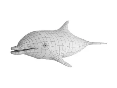 Dolphin Base Mesh Low-poly 3D model