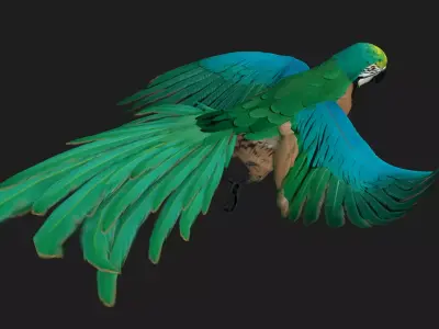 Parrot A5 Free 3D model