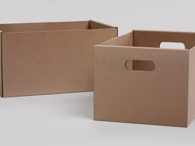 -Carrier Box- 3D model
