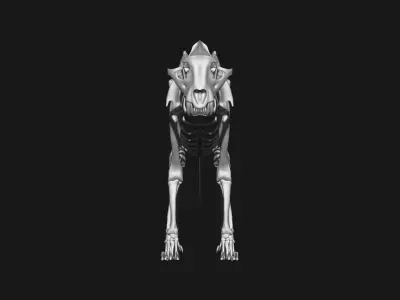 Jaguar skeleton 3D model