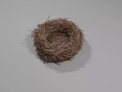 Realistic Bird nest 3D model