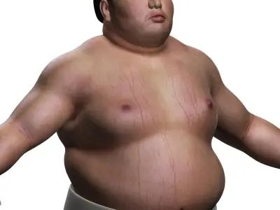 Sumo (Basic) 3D model
