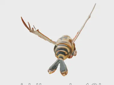 Mechanical Flying Bee Garden Assistant Low-poly 3D model