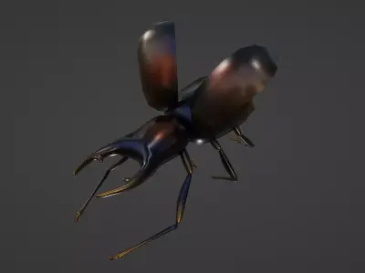 RIGED AND ANIMATED BEETLE Low-poly 3D model
