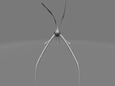 Phryganistria praying mantis 3D model