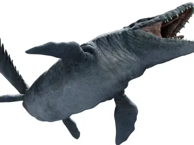 Mosasaurus 3D model