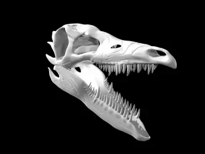 Stegosaurus skull Low-poly 3D model