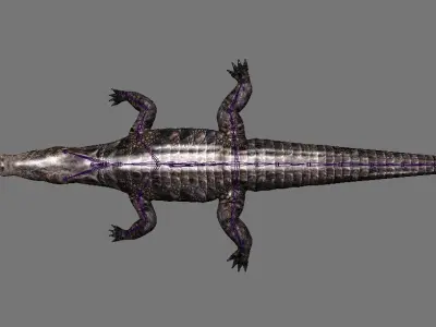 A Crocodile realistic 3d model alligator 3D model