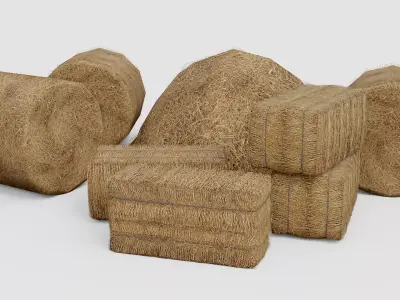 Hay Collection Low-poly 3D model