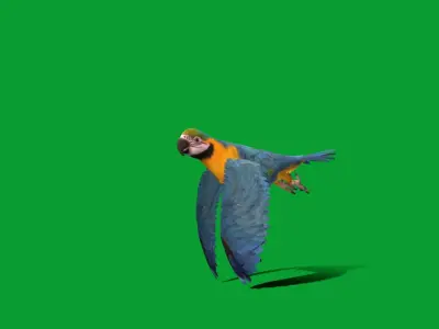 Macaw Parrot Bird Low-poly 3D model