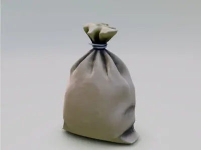 Bag Money 3D model