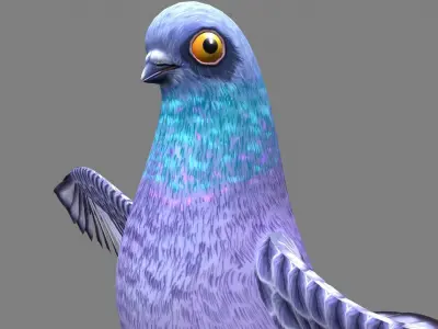 Pigeon bird Low-poly 3D model purchase