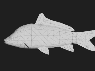 Carp fish Low-poly 3D model get