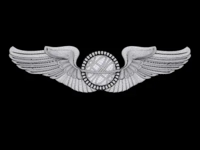 US Army Air Force Navigator Wings Badge 3D model