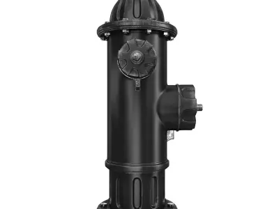 Fire Hydrant 3D model order