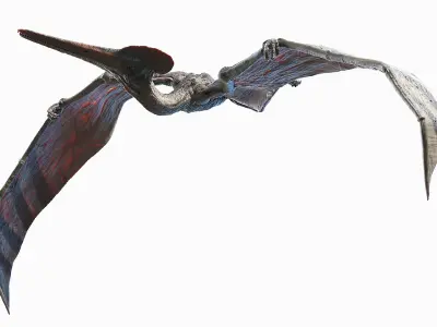 Pterodactyl Animated 3D model