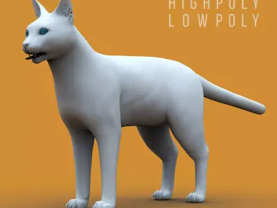 CAT Higholy Lowpoly Low-poly 3D model